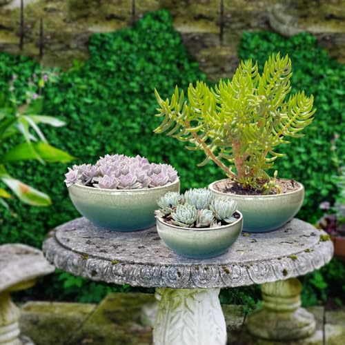 11 9 7 Inch Succulent Pot with Drainage and Mesh Pads Large Round Ceramic Plant Pot for Indoor Outdoor Plants Succulent Planter Cactus Bonsai Pot Container Set of 3 (3 Count)