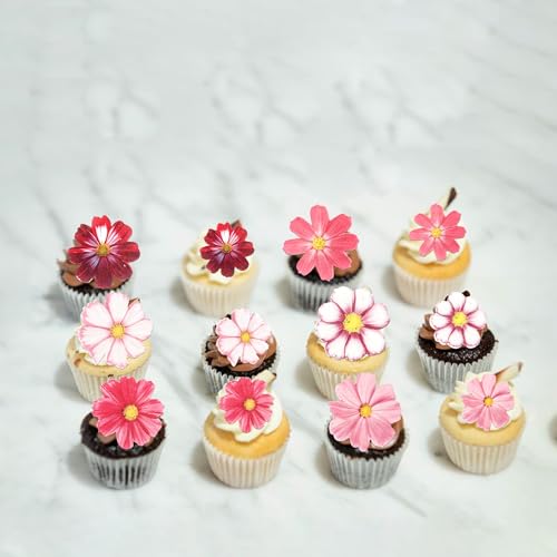 65 PCS Edible Gosang Flowers Cupcake Toppers Wafer Paper Flower Birthday Party Decorations Edible Hibiscus Wildflower Cupcake Picks for Baby Shower Wedding Birthday Party Cake Decorations Supplies (60 Count)