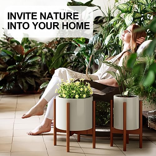 2 Pack Indoor Plant Stands (2 Count)
