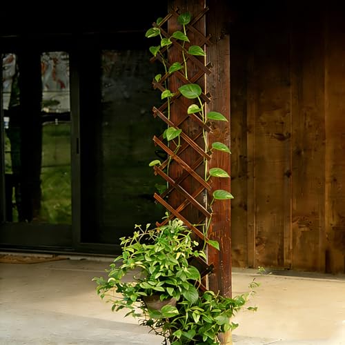 2Pcs Expandable Garden Trellis (2 Count)