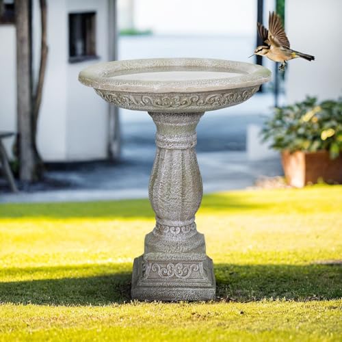 23.8 Inch High Concrete Bird Bath with Carved Pedestal
