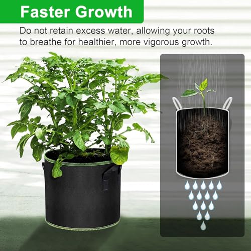 3 Pack 5 Gallon Grow Bags (3 Count)