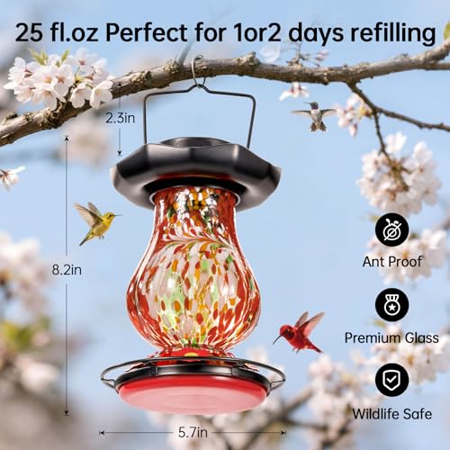 Solar Hummingbird Feeder for Outdoor