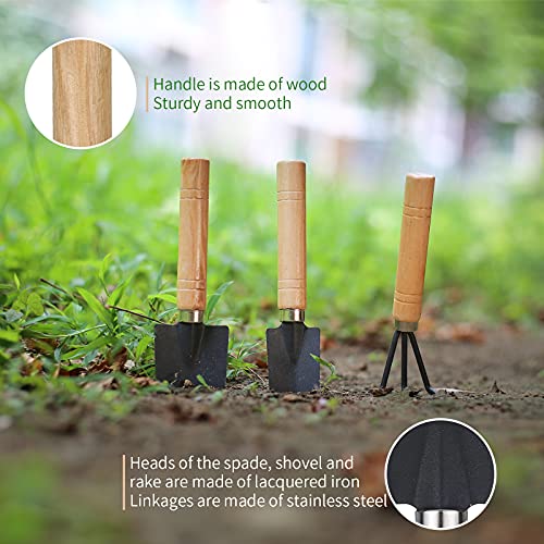11Pcs Succulent Tools