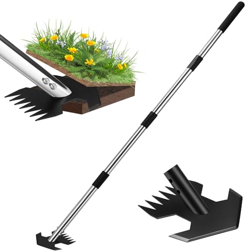 Hoe Garden Tool