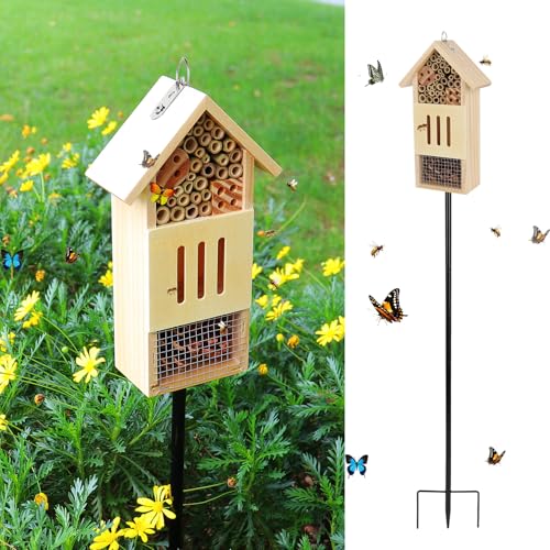 Wooden Insect House