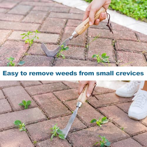 Crack Weeder Crevice Weeding Tool