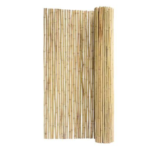 Natural Rolled Bamboo Fence (Rolled Fence / 6Ftx8Ft)