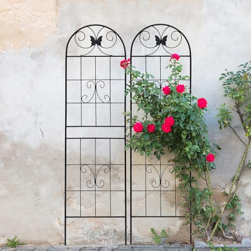2 Pack Garden Trellises with Black Metal Coating