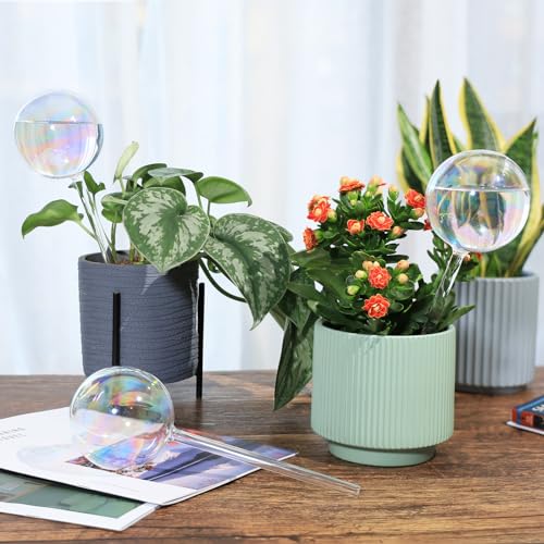13 oz Up 2 Weeks Extra Large Plant Watering Globes (XL (13 oz) – 2 Pack)