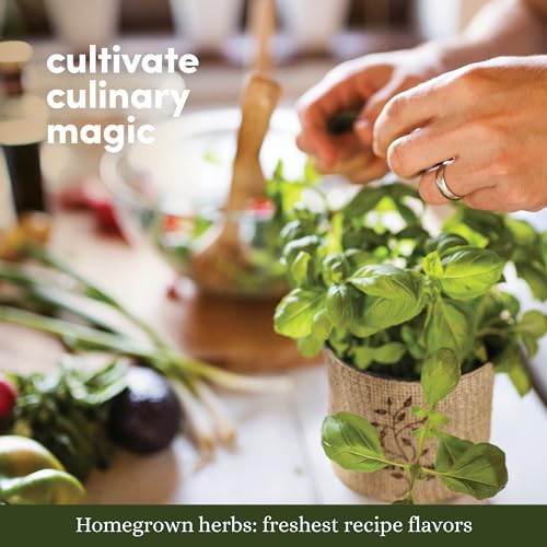 9 Herb Indoor Window Garden Kit (9 Count)