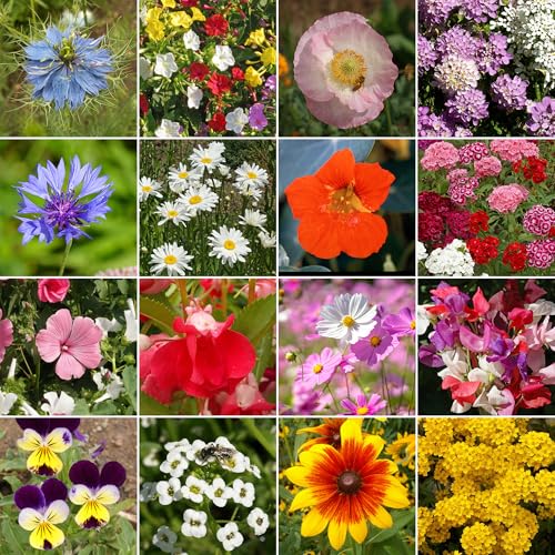 Cottage Garden Bulk Wildflower Seeds (16 Ounce)