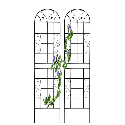 2 Pack Metal Garden Trellis for Climbing Plants
