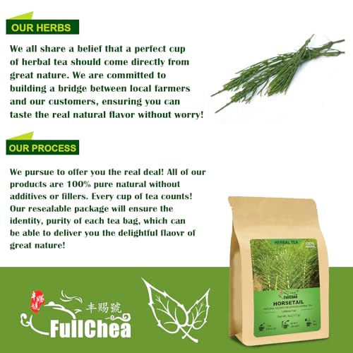 Horsetail Tea Loose Leaf (6 Ounce (Pack of 1))