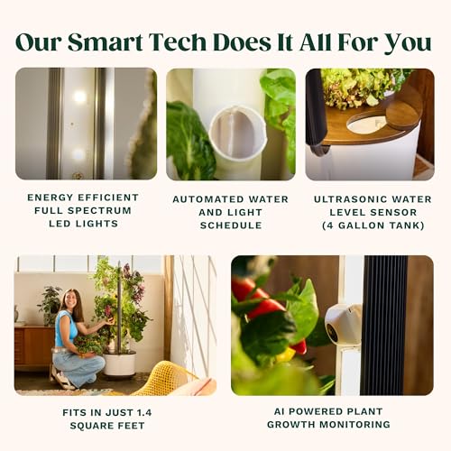 Studio 2 Hydroponics Growing System