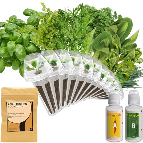 Gourmet Herb Seed Pod Kit for AeroGarden (12 Count)