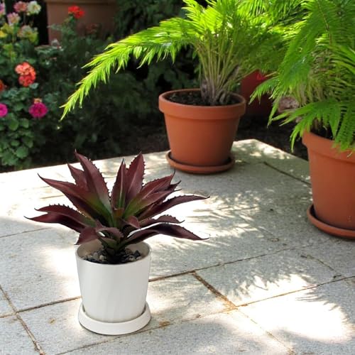 12.5 Inch Artificial Aloe Plant