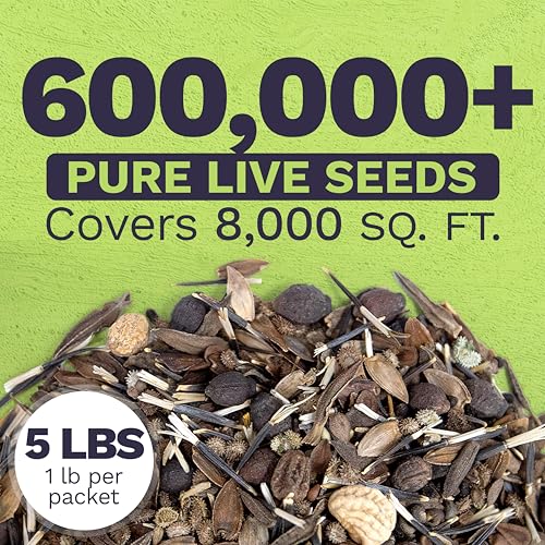 Bulk Wildflower Seeds Butterfly and Humming Bird Mix (80 Ounce)