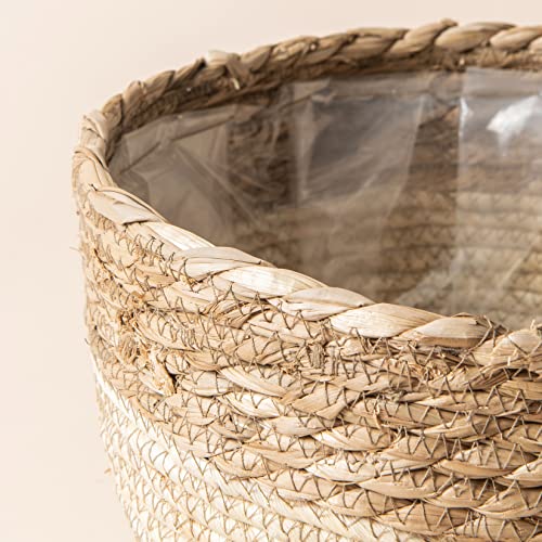 Seagrass Basket Planters for Indoor Plants
