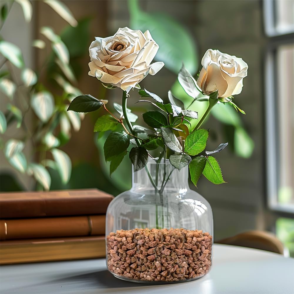 0.88 LB Brown Decorative Succulent Cactus Gravel (14.08 Ounce)