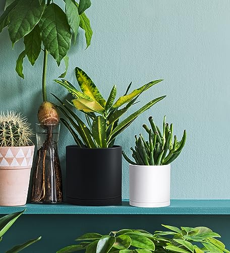 6 Pack White Plastic Planters with Saucers (6 Count)
