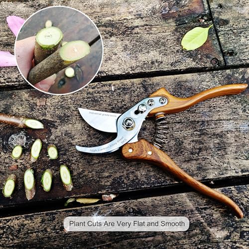 TONMA 8.2" Pruning Shears