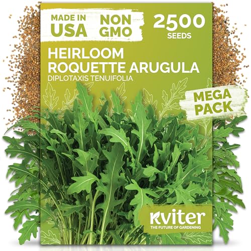 2 500 Roquette Arugula Heirloom Herb Seeds