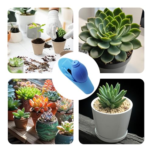 6Pcs Mini Succulent Tools Set (6 Count)