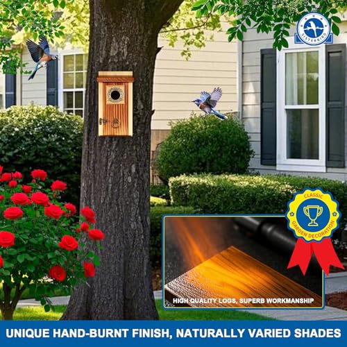 2 Pack Premium Bird House