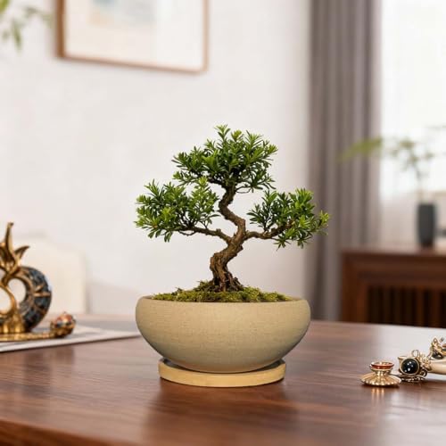 2 Pack 8+6 Inch Plant Pot (8"+6.8")
