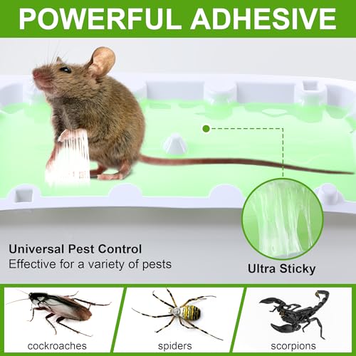 100 Pack Mouse Glue Trap (4.5" x 3.3")