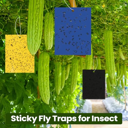 150 Pcs 6x8 Inch Yellow Blue Black Sticky Traps for Gnats (Yellow,Blue,Black)