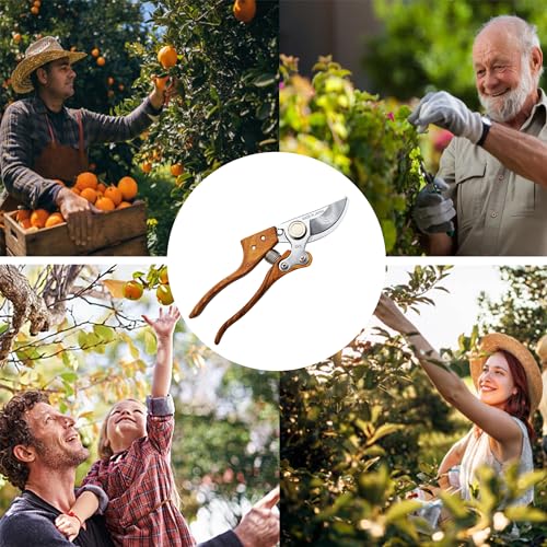 TONMA 8.2" Pruning Shears
