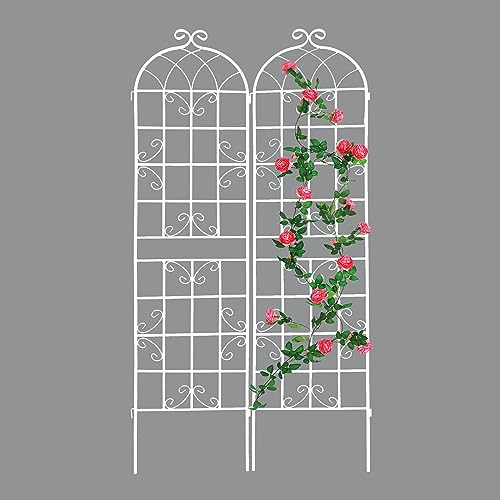 2 Pack Metal Garden Trellis 71" H Fence Rustproof Garden Trellis for Climbing Plants Support Roses Flower Outdoor Lawn (2 Count)