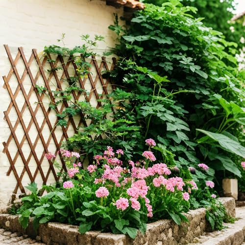 2Pcs Expandable Garden Trellis (2 Count)