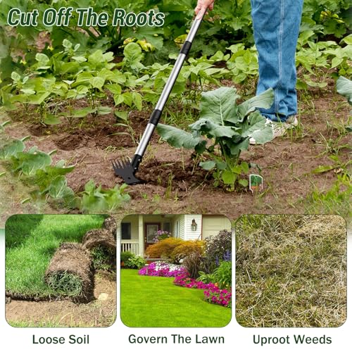 Weed Puller Tool with Long Handle 2 (16 Ounce)