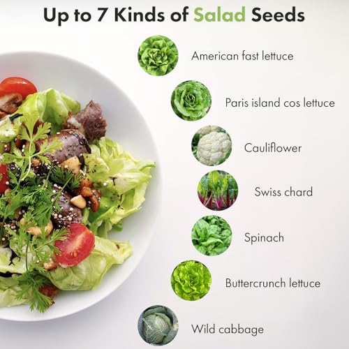Salad Seed Pods Kit for AeroGarden