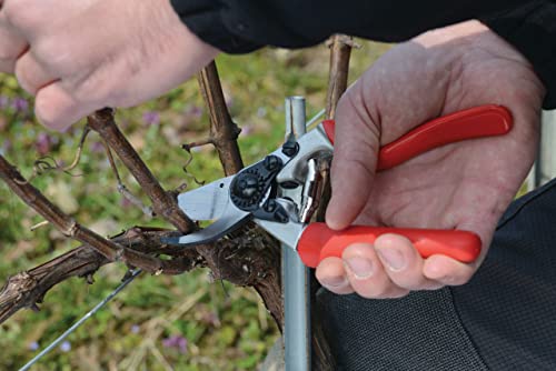 F7 Pruning Shears