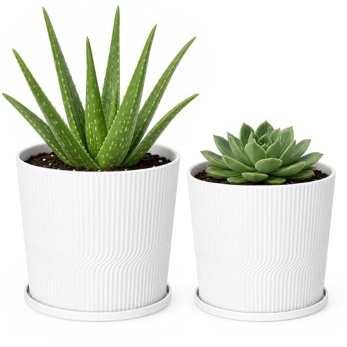 2 Plant Pots Indoor (White / 4.8''+5.5'')