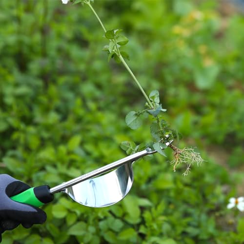 HW1 Hand Weeder Tool