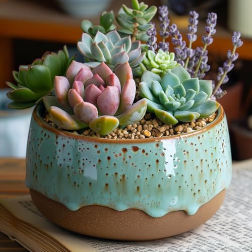 0.88 LB Brown Decorative Succulent Cactus Gravel (14.08 Ounce)