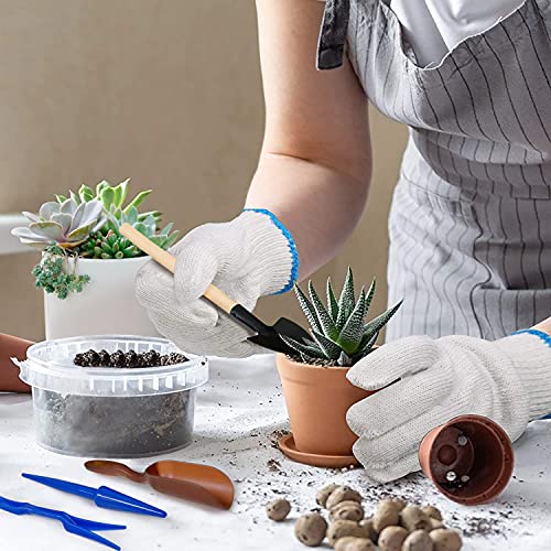 Succulent Tools