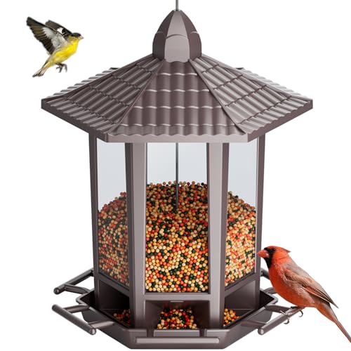 Hanging Bird Feeders for Outdoor