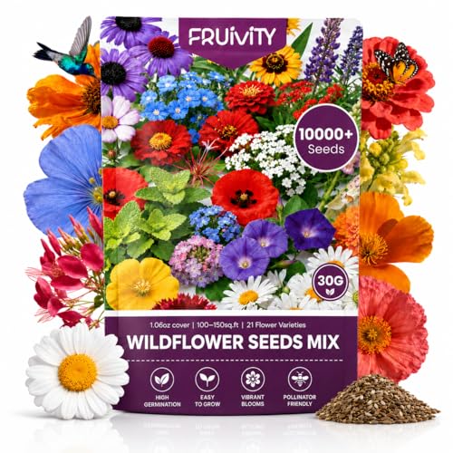 Wildflower Seeds Bulk 10000+ (10000 Count)