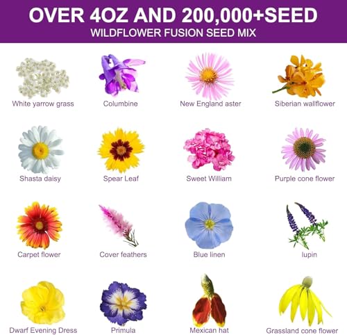 200 000+ Wildflower Seeds [4oz] 16 Variety Perennial Mix
