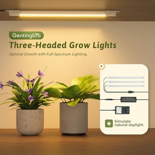 Plant Stand Indoor with Grow Lights for Indoor Plants 62.2'' Tall Plant Shelf 12 Tiers Sturdy Plant Rack for Plants Dispaly for Living Room Garden Patio Decor (12 Count)