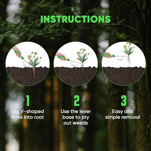 HW1 Hand Weeder Tool