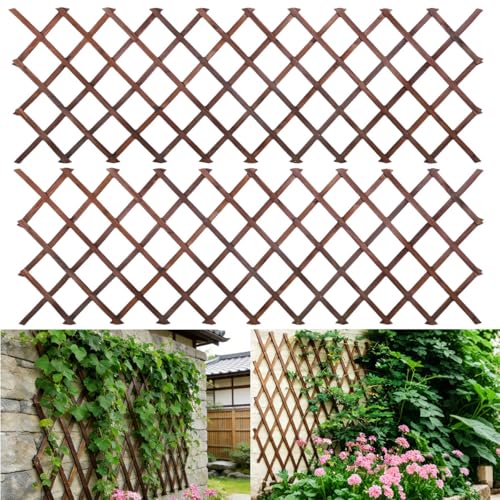 2Pcs Expandable Garden Trellis (2 Count)