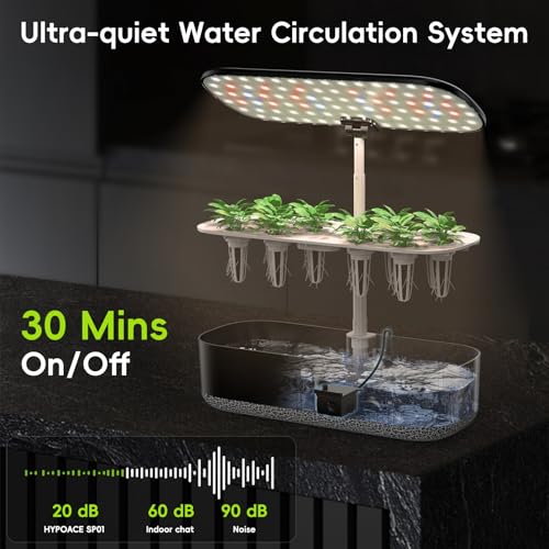 Hydroponics Growing System with LED Grow Light