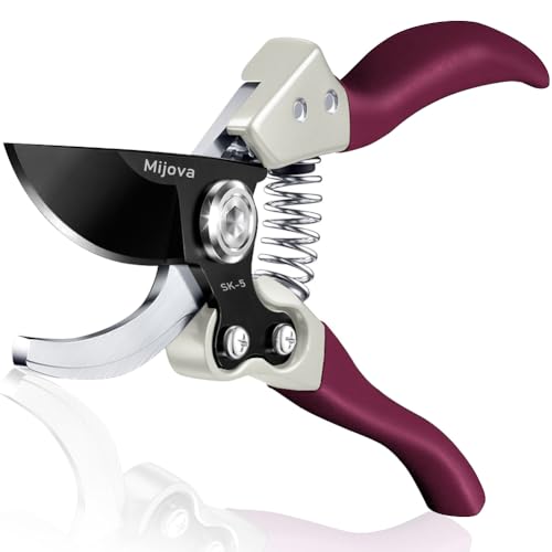 Professional Pruning Shears